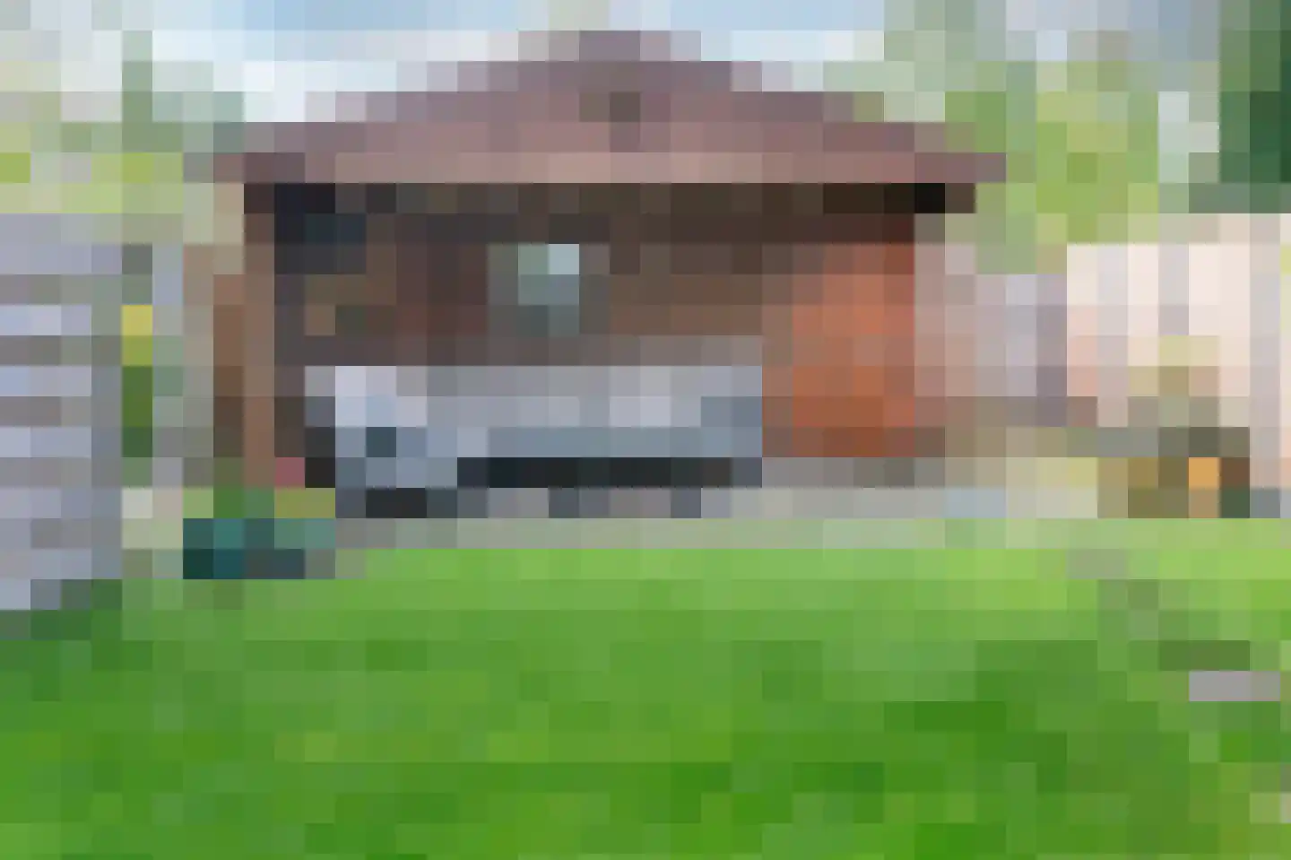 Laan van de Bork 552 Emmen thumbnail 28