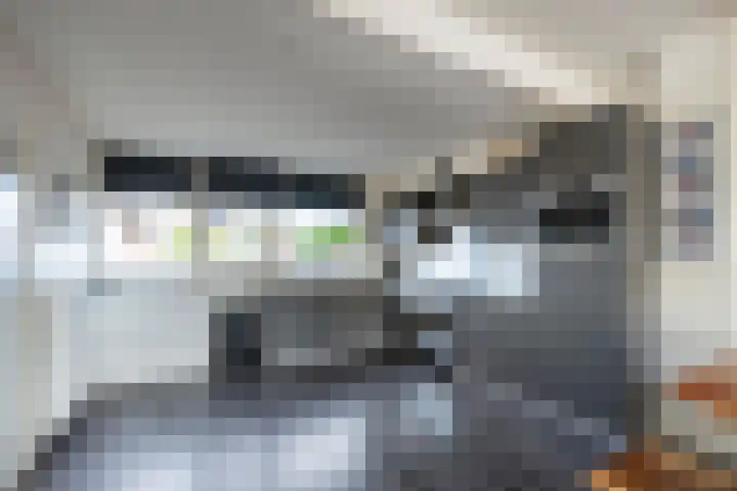 Laan van de Bork 552 Emmen thumbnail 4