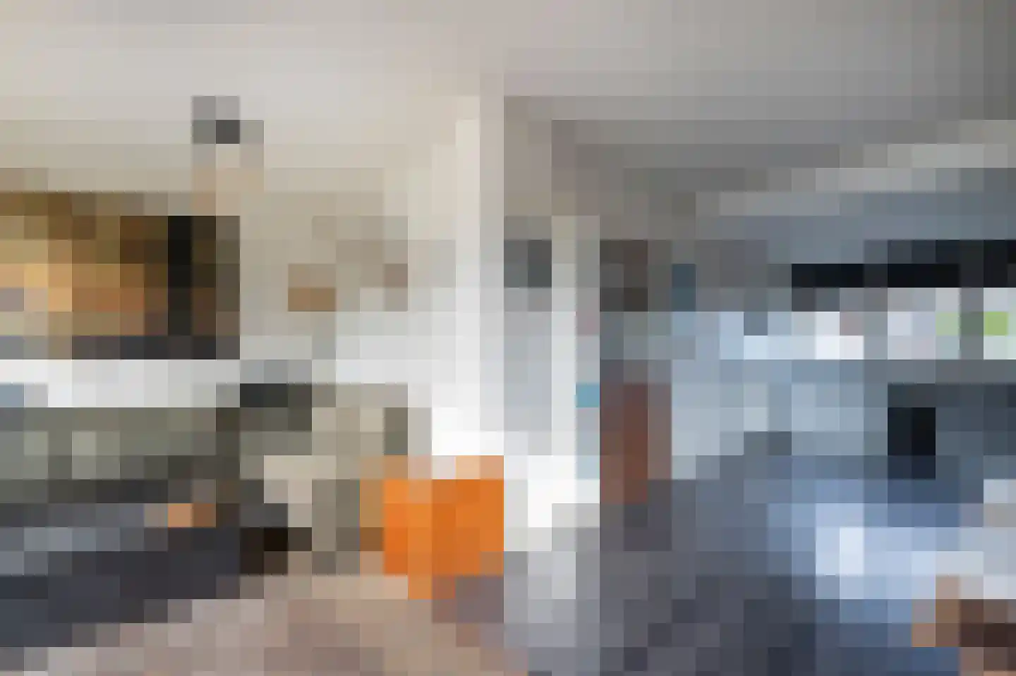 Laan van de Bork 552 Emmen thumbnail 9