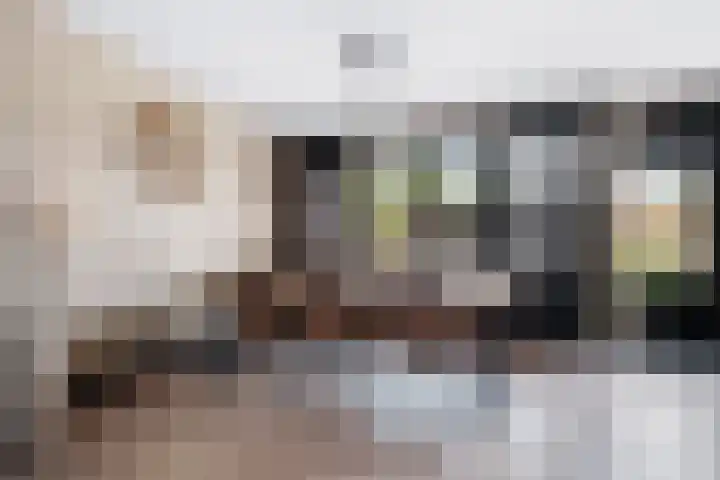 Laan van de Bork 576 Emmen thumbnail 11
