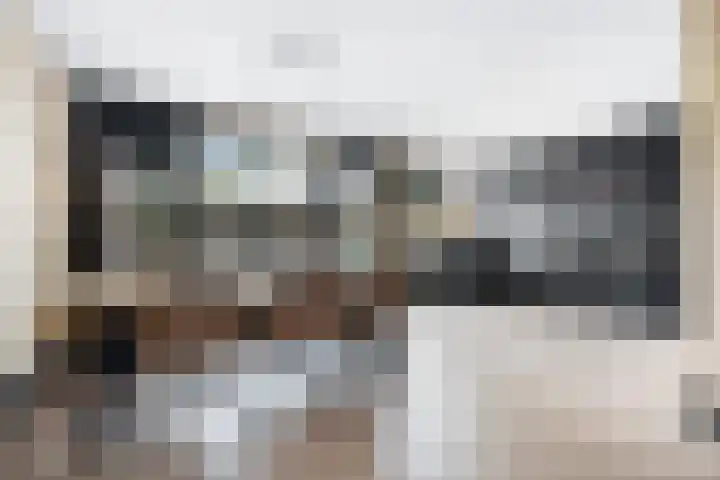 Laan van de Bork 576 Emmen thumbnail 12