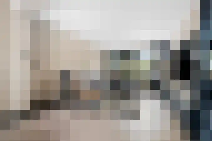 Laan van de Bork 576 Emmen thumbnail 13
