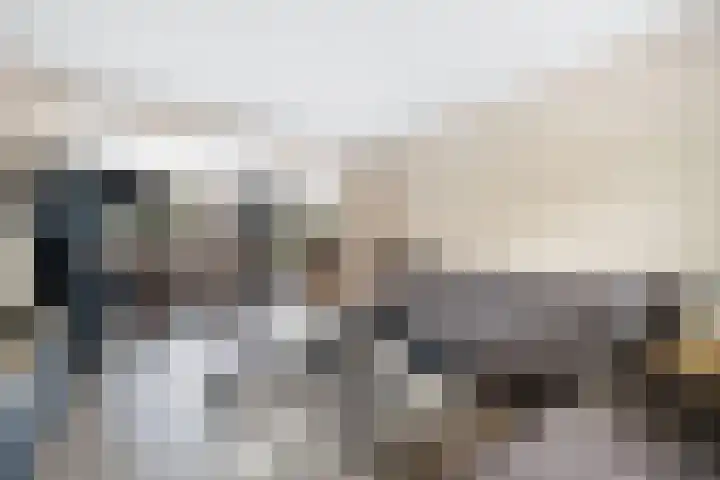 Laan van de Bork 576 Emmen thumbnail 14