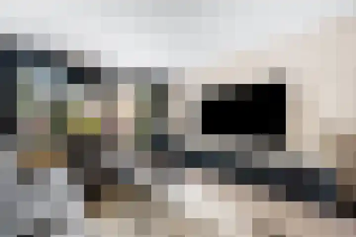 Laan van de Bork 576 Emmen thumbnail 16