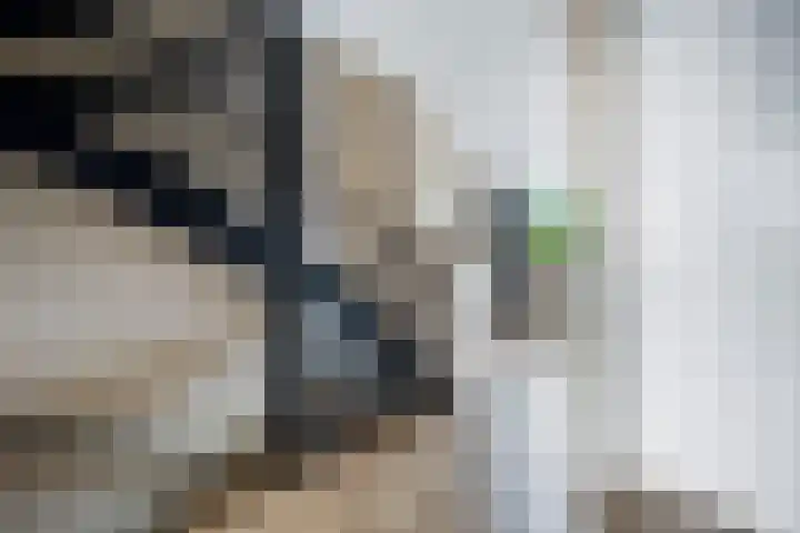 Laan van de Bork 576 Emmen thumbnail 18