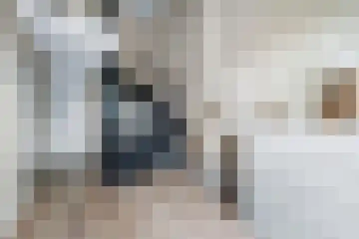 Laan van de Bork 576 Emmen thumbnail 19