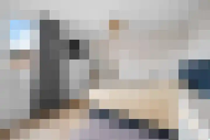 Laan van de Bork 576 Emmen thumbnail 20
