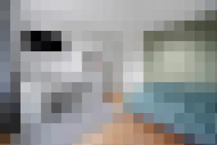 Laan van de Bork 576 Emmen thumbnail 23
