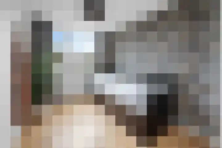 Laan van de Bork 576 Emmen thumbnail 24