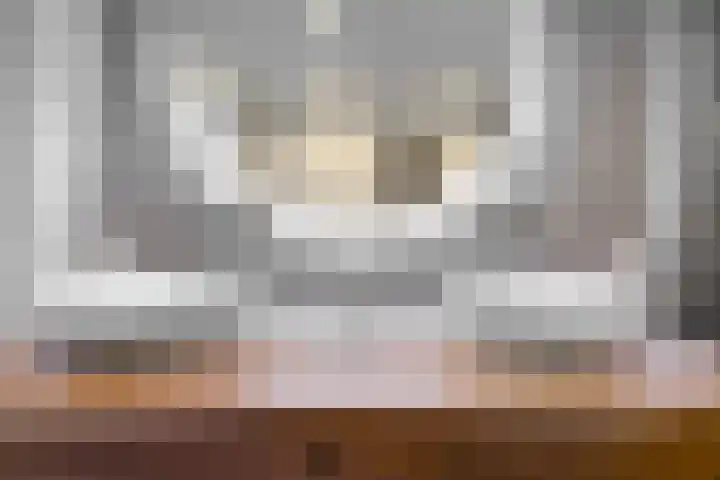 Laan van de Bork 576 Emmen thumbnail 27