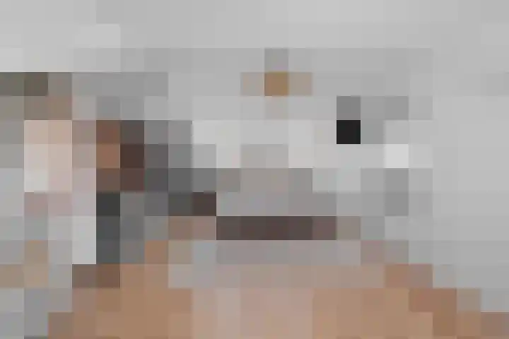 Laan van de Bork 576 Emmen thumbnail 30