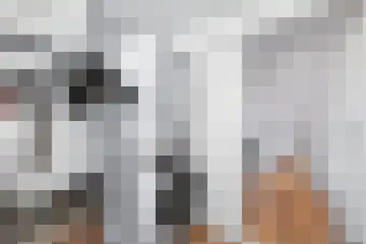 Laan van de Bork 576 Emmen thumbnail 32