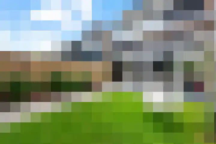 Laan van de Bork 576 Emmen thumbnail 36