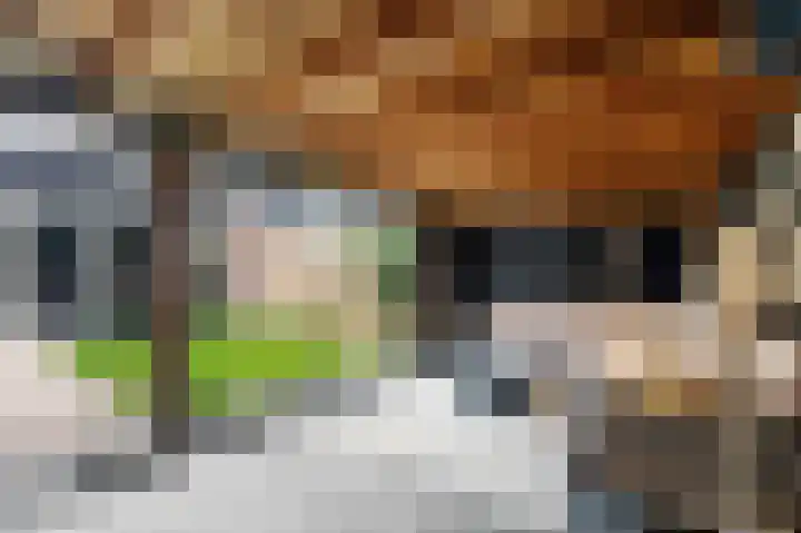 Laan van de Bork 576 Emmen thumbnail 37