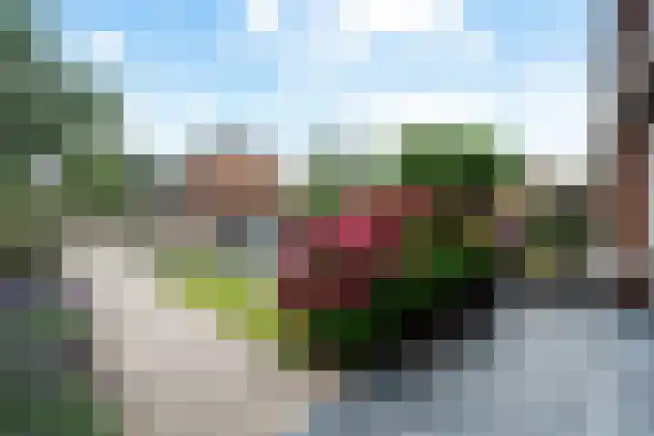 Laan van de Bork 576 Emmen thumbnail 4
