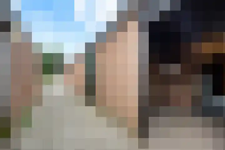 Laan van de Bork 576 Emmen thumbnail 40