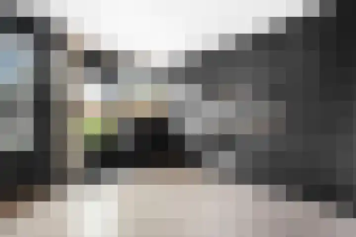 Laan van de Bork 576 Emmen thumbnail 8