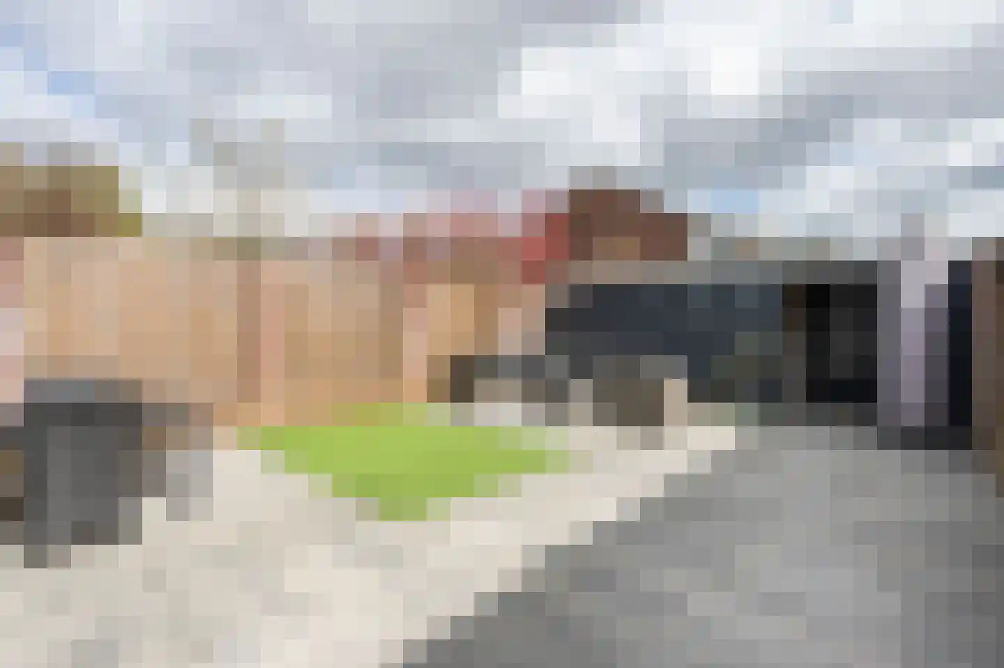 Laan van de Bork 600 Emmen thumbnail 29