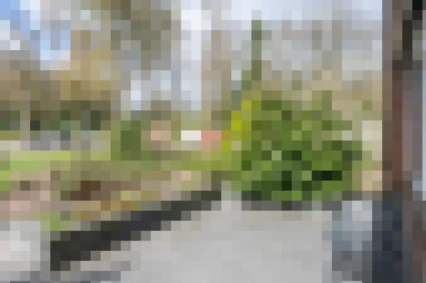 Laan van de Bork 600 Emmen thumbnail 33