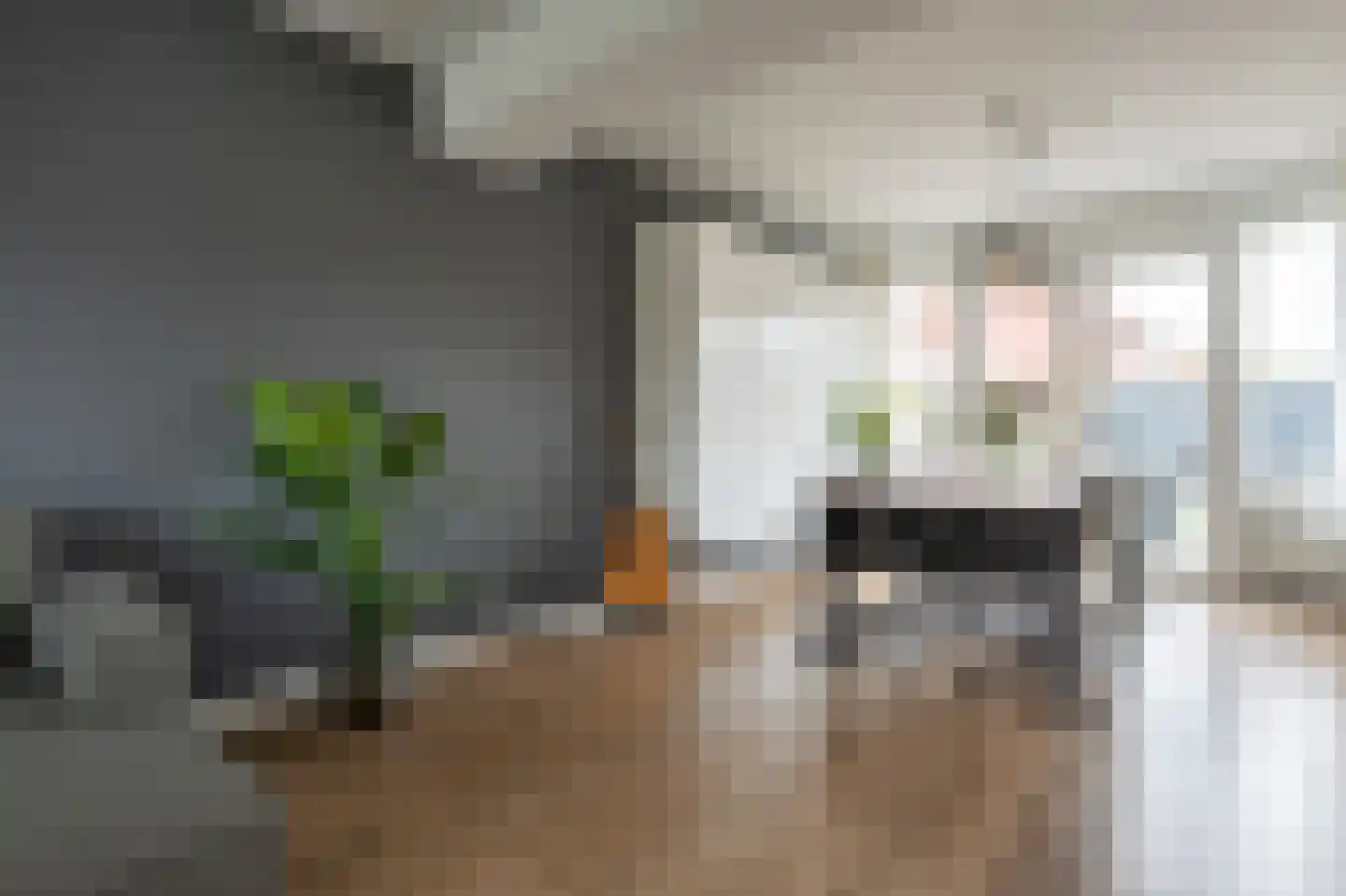Laan van de Bork 600 Emmen thumbnail 8