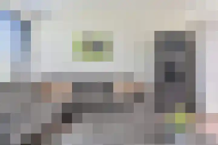Laan van de Bork 708 Emmen thumbnail 12