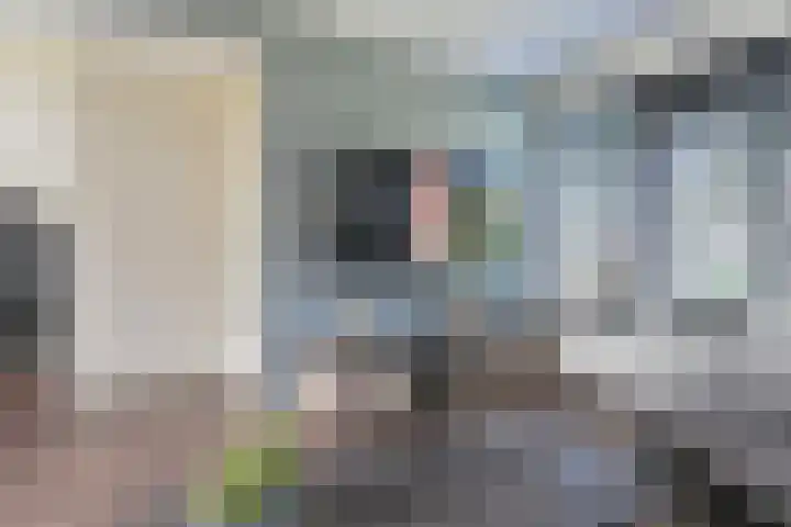 Laan van de Bork 708 Emmen thumbnail 15
