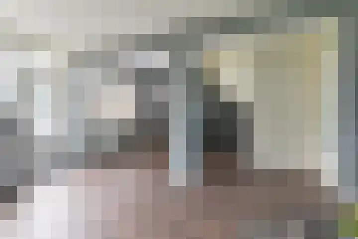 Laan van de Bork 708 Emmen thumbnail 16