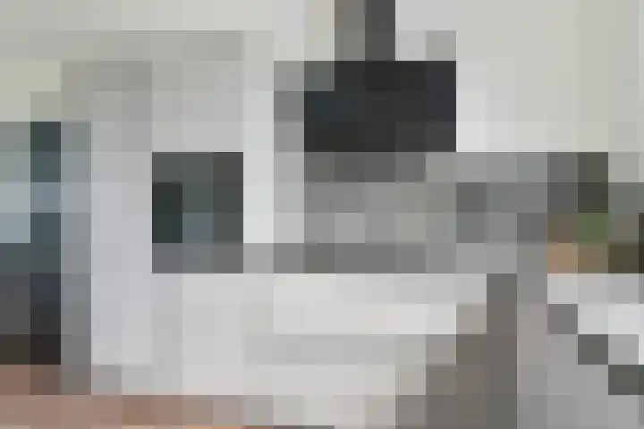 Laan van de Bork 708 Emmen thumbnail 25