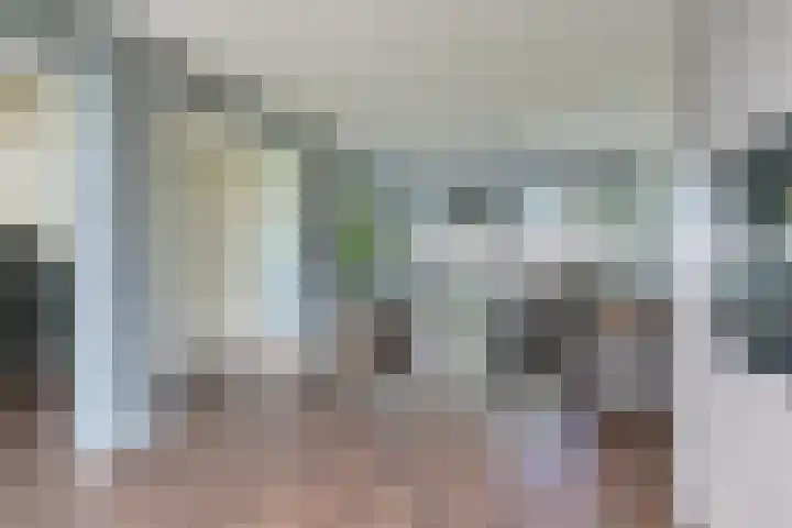 Laan van de Bork 708 Emmen thumbnail 26