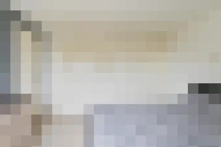Laan van de Bork 708 Emmen thumbnail 32