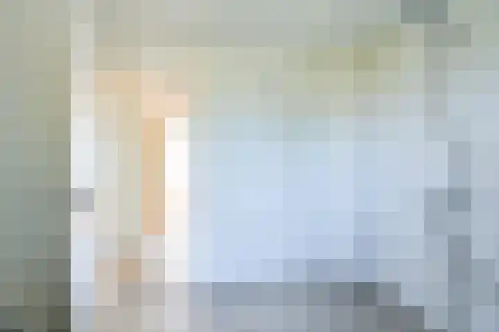 Laan van de Bork 708 Emmen thumbnail 37