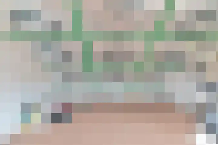 Laan van de Bork 708 Emmen thumbnail 49