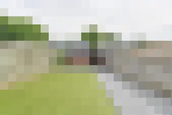 Laan van de Bork 708 Emmen thumbnail 54