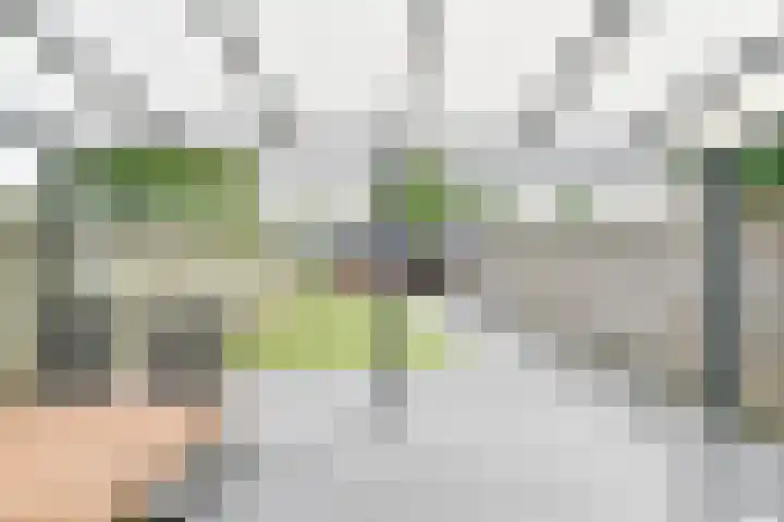 Laan van de Bork 708 Emmen thumbnail 55