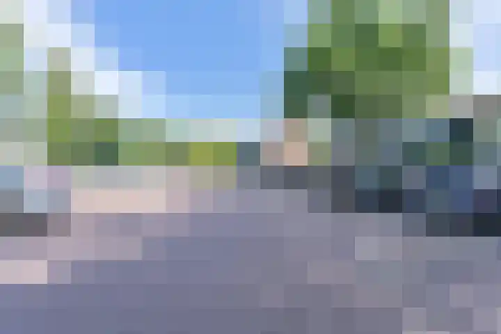Laan van de Bork 708 Emmen thumbnail 56