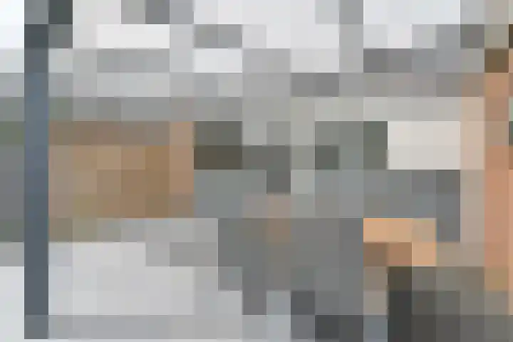 Laan van de Bork 708 Emmen thumbnail 58