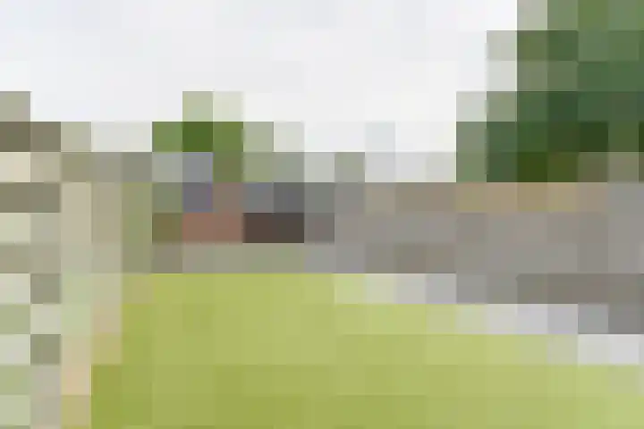Laan van de Bork 708 Emmen thumbnail 59