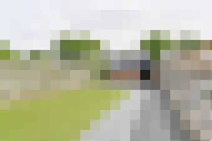 Laan van de Bork 708 Emmen thumbnail 60
