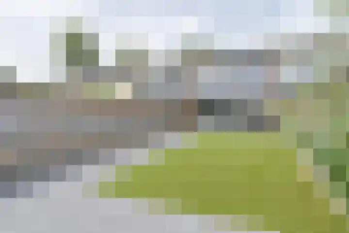 Laan van de Bork 708 Emmen thumbnail 62