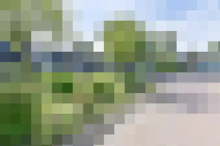 Laan van de Bork 708 Emmen thumbnail 64