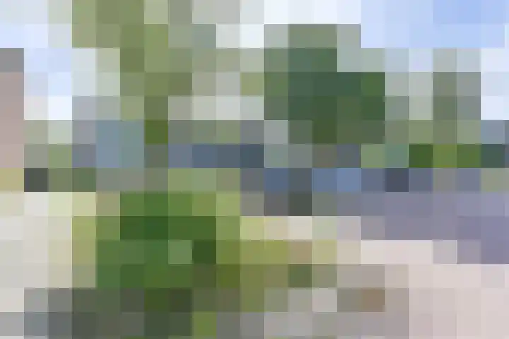 Laan van de Bork 708 Emmen thumbnail 65