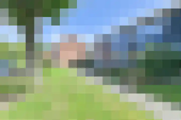 Laan van de Bork 708 Emmen thumbnail 68