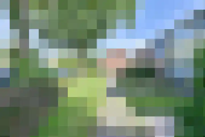 Laan van de Bork 708 Emmen thumbnail 69