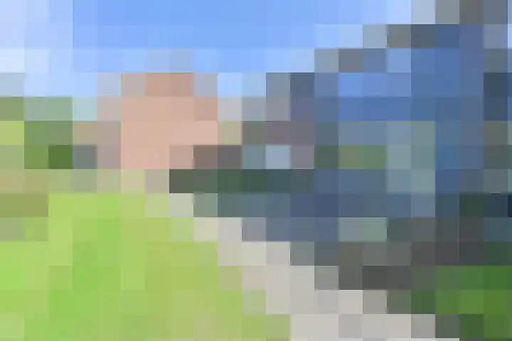 Laan van de Bork 708 Emmen thumbnail 70