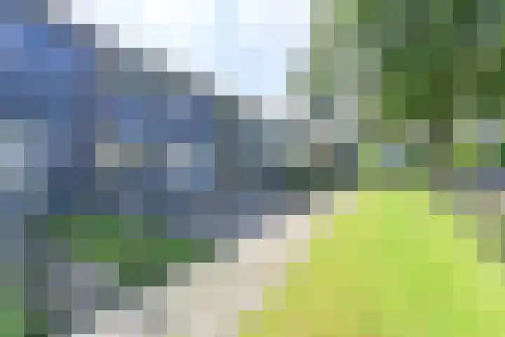 Laan van de Bork 708 Emmen thumbnail 71