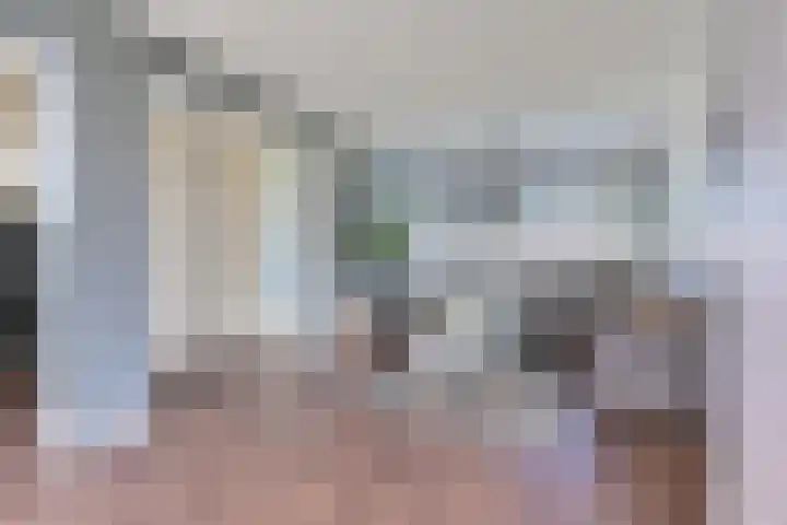 Laan van de Bork 708 Emmen thumbnail 9