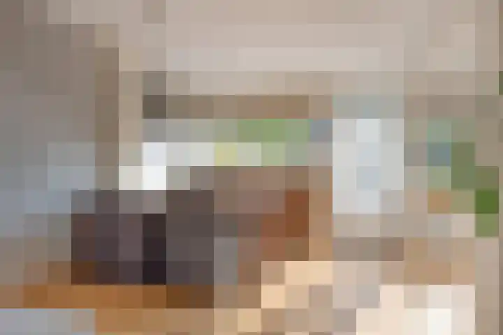 Laan van de Bork 718 Emmen thumbnail 16