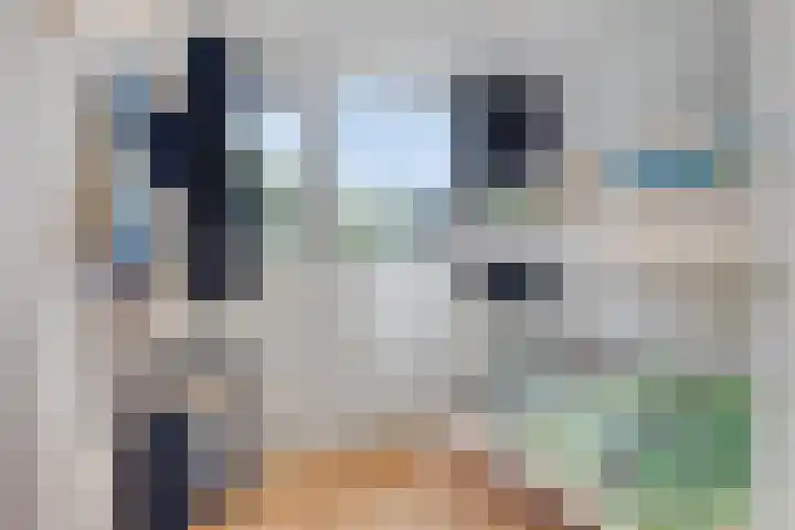 Laan van de Bork 718 Emmen thumbnail 29