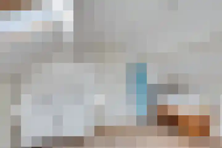 Laan van de Bork 718 Emmen thumbnail 31