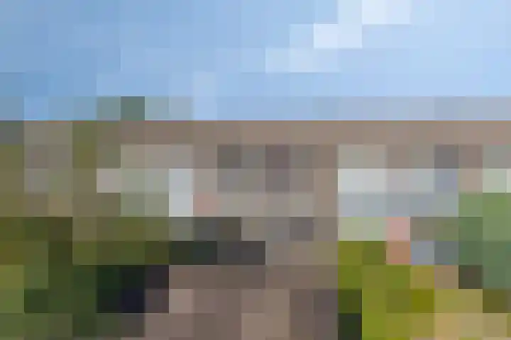 Laan van de Bork 718 Emmen thumbnail 38